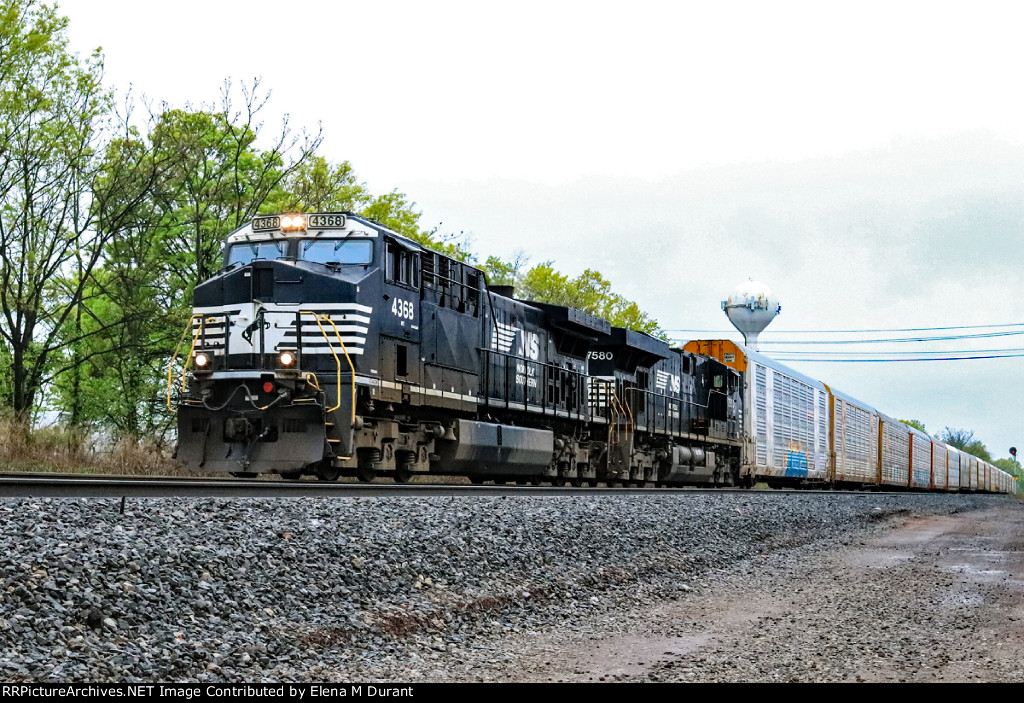 NS 4368 on 18N